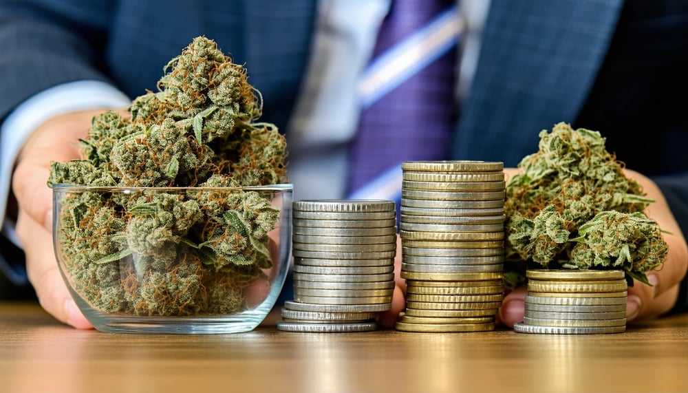 Secure cannabis banking services